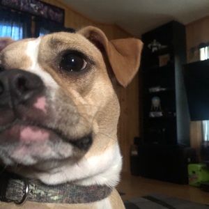 Meet your Posher, Colin